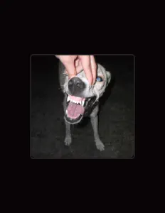 收听 solarizzz、观看音乐视频、阅读小传、查看巡演日期等 ！