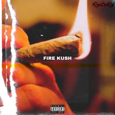 Fire Kush (feat. Mario The Killer & WTF) - Single