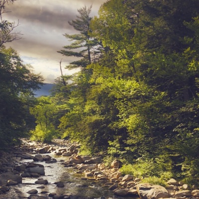 Finer Things - Single