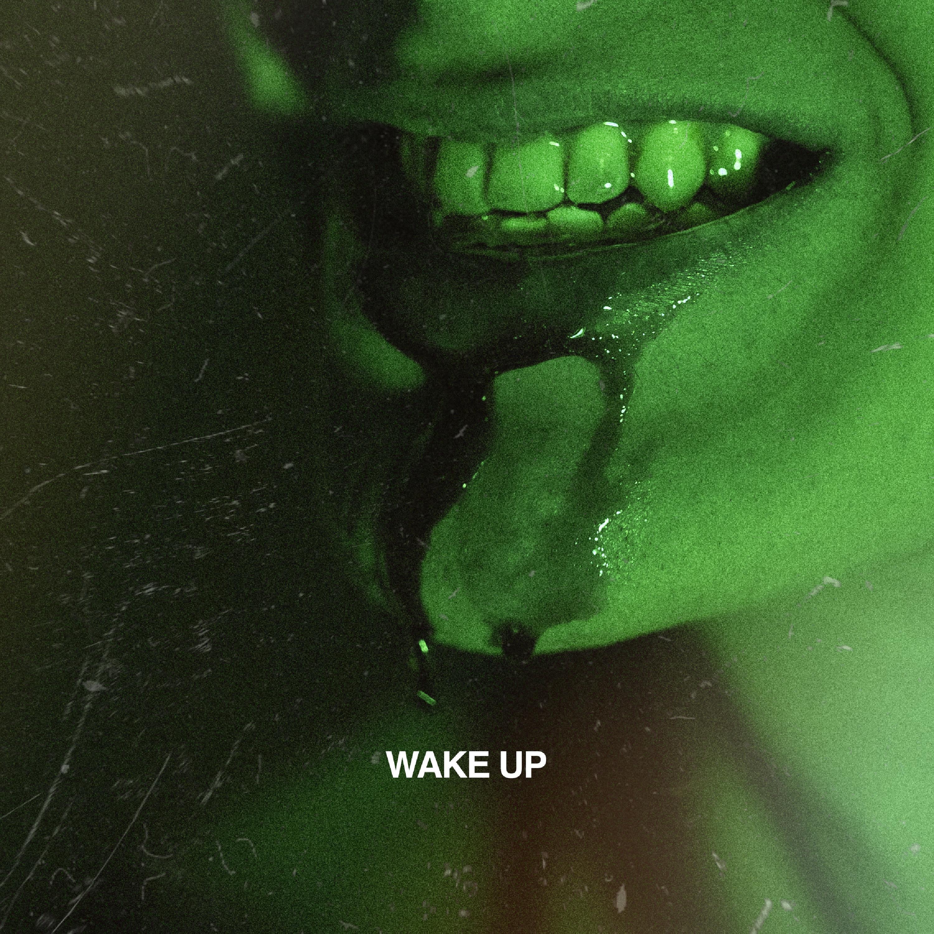 Wake Up - Single