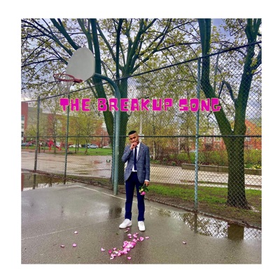 The Breakup Song - Single