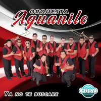 Mix Salserin - De Sol a Sol - Un Amor Como el Nuestro - No Importa - Yo Sin Ti - Una Fans Eenamorada — Orquesta Aguanile