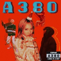 A380 (feat. Luna Is a Bep) - Single - COPAK