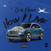 How I Live artwork