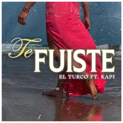 Te fuiste (feat. Kapi) - Single