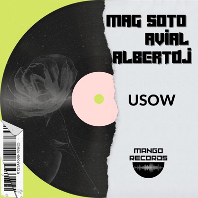 USOW (feat. AVIAL & Albertdj) - Single