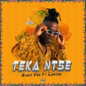 Teka Ntse (feat. Canicee) artwork