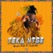 Teka Ntse (feat. Canicee) artwork