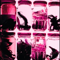 Listones y fresas - Single - Xneh