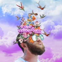 פאנקילישסוואגי - OBD