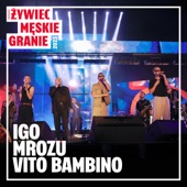 Tolerancja (feat. IGO, Mrozu, Vito Bambino, Stanisław Soyka & Leszek Możdżer) [Radio Edit] artwork