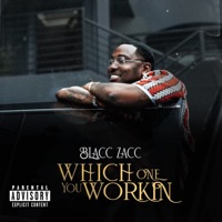 Which One You Working - Single - Blacc Zacc