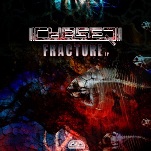 Fracture - Single