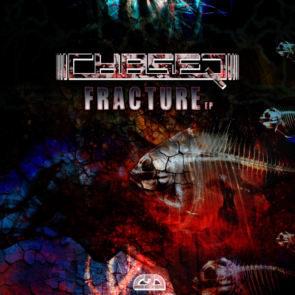 Fracture - Single