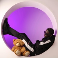 Purple Purpose - Konola