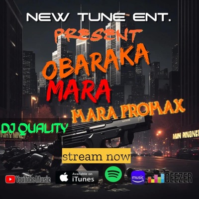 DJ QUALITY - Mara Promax (Track I)