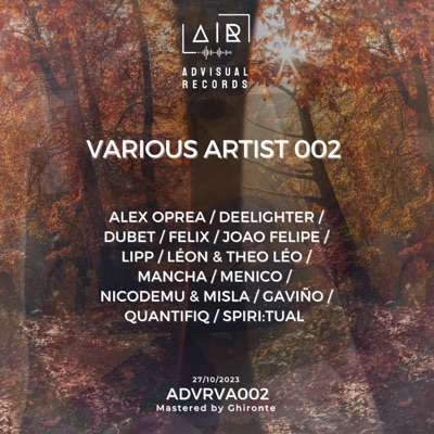 Various Artist 002 (ADVRVA002)