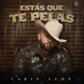 ESTAS QUE TE PELAS