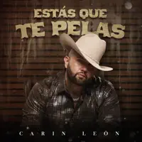 ESTAS QUE TE PELAS