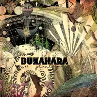 No! — Bukahara