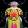 Honeybee cover art