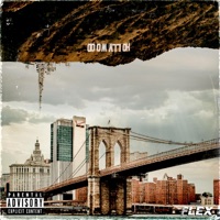 Hollywood, Brooklyn - Holly Starks