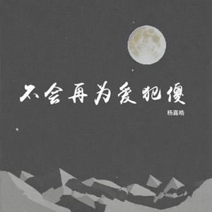 不会再为爱犯傻 - Single