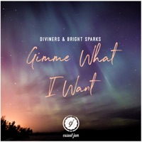 Gimme What I Want - Single - Diviners & Bright Sparks