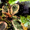 The Daring Jungle Escape on Planet Folison - Single