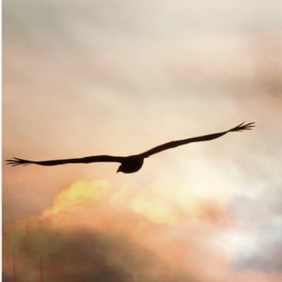 Soaring Sky - Single