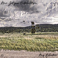 Nicht wie wir (feat. viper) - Single - KING BELVEDERE