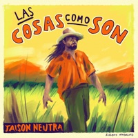 Las Cosas Como Son - Single - Jaison Neutra