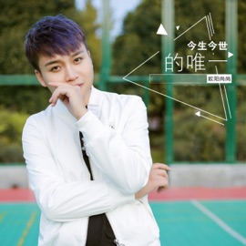 今生今世的唯一 (DJ何鹏版) 欧阳尚尚