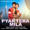 Pyaar Tera Mila - Single