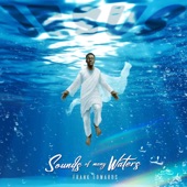 Sounds of Many Waters artwork