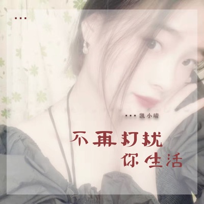 不再打扰你生活 (DJ伴奏版)