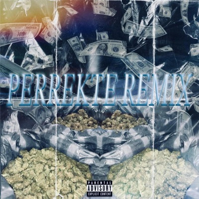 PERREKTE (feat. Arizti, Zpirant, Raychundo & yamdo) [REMIX] - Single