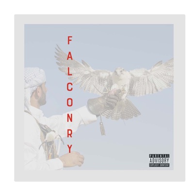 Falconry