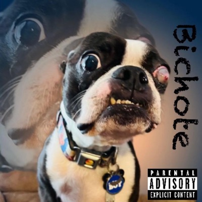 Bichote .Shoty. A-one. (Radio Edit) - Single