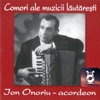 Ion Onoriu - acordeon, 2008