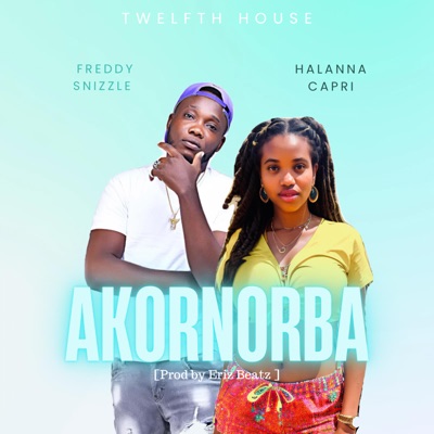 Akornorba (Re-Up) (feat. Halanna Capri & Eriz Beatz) - Single