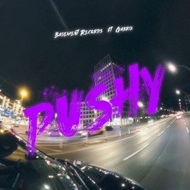 Pushy (feat. Gabrix) Basement Records