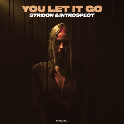 You Let It Go - Single