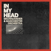 Michigander - In My Head