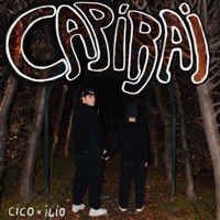 Capirai (feat. ILIO) - Single - Cico
