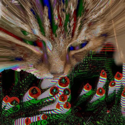 my cat is a cosmic guardian (feat. Counting the Stars) - Single