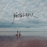我嫁的那个人 - Single - 李发发