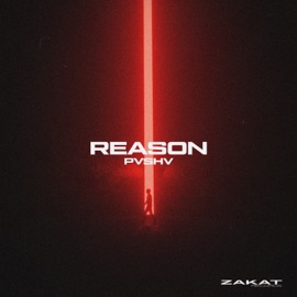 Reason PVSHV