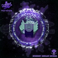 Wormhole - Single - Liquid L