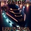 Luv U Suga - Single